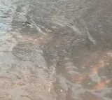 Bengaluru residents rejoice first heavy rain