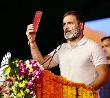 This election being fought to protect Constitution, reservations: Rahul Gandhi
