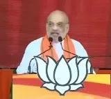 Amit Shah promises AP's development if coalition wins