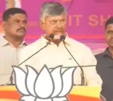 Chandrababu praises Amit Shah for resolving uncertainties about their political alliance