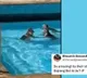 Watch Monkeys take a dip in Mumbai swimming pool amid soaring temperatures the Internet reacts