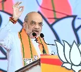Telangana collecting 'Rahul Revanth' tax, says HM Amit Shah