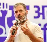 Vice Chancellors slam Rahul Gandhi, seek action for 'resorting to falsehood'