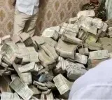 ED raids Jharkhand Minister's PA, recovers Rs 25 cr from house help's home