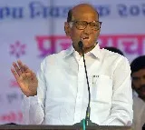 After losing voice at poll rally, Sharad Pawar recovering but advised to rest by docs