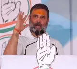 BJP-NDA will not get even 150 seats, claims Rahul Gandhi