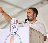 Reservation quota will increase beyond 50 pc if Cong forms govt: Rahul Gandhi in MP
