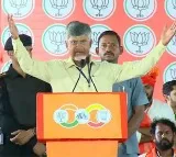"We Now Have Modi's Guarantee": Chandrababu at Anakapalli Rally