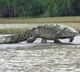 Woman throws speech disabled child into crocodile infested river in Karnataka