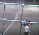 11year old dies after cricket ball hits his private part in Pune