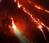 5 dead in Uttarakhand wildfires over 1000 hectares of forest destroyed
