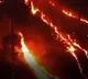 5 dead in Uttarakhand wildfires over 1000 hectares of forest destroyed