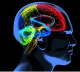 Asthma can negatively affect brain functions: Experts