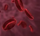Why is India the thalassemia capital of the world?