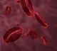 Why is India the thalassemia capital of the world?