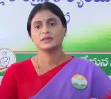 YS Sharmila once again Criticizes YS Avinash Reddy