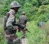 Most Wanted Terrorist Among 3 Killed In Jand K Encounter With Security Forces