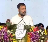 Will not allow anyone to harm Constitution: Rahul Gandhi