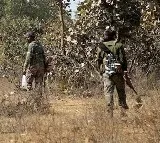 Chhattisgarh Police said that five Naxalites have been killed in an encounter in Bijapur district