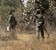 Chhattisgarh Police said that five Naxalites have been killed in an encounter in Bijapur district