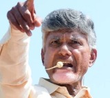 Chandrababu Calls on Voters from Neighboring States to Return Home for Voting