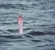 Tragic Drowning of Two Telugu Students in America