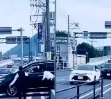 Viral Video Japanese Politeness Shines as Traffic Stops for Car Parking Exit