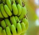 elderly woman shares technique of naturally ripening bananas video