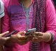 Women's internet adoption on mobile phones reach 37 pc in India: GSMA