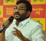 TDP will win in 135 seats says Somireddy