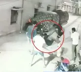 Three injured in family clash over pet dog in Hyderabad Madhura nagar