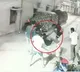 Three injured in family clash over pet dog in Hyderabad Madhura nagar