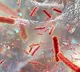 After seven years, WHO updates antibiotic-resistant bacteria list