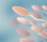 Faulty gene from mother can be behind sons infertility says new study
