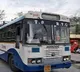 TSRTC gets 24 crore revenue on election day