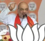 Vote for lotus if you want strong PM, says HM Amit Shah