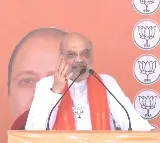 NDA has already won over 270 seats in four phases of LS polls: HM Amit Shah