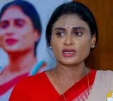 Jagan, Chandrababu, Lokesh, and Sharmila Travel Abroad Ahead of Election Results