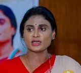 Now YS Sharmila Left for US After Jagan And Babu