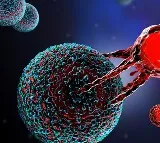 CAR T-Cell therapy revolutionised landscape of cancer treatment: Doctors
