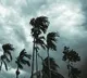 Monsoon in Telangana between june 5 and 11