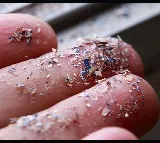 Microplastics Detected In Human Testicles Raising Fertility Concerns