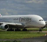 Emirates flight hit kills 36 flamingos in Mumbai