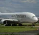 Emirates flight hit kills 36 flamingos in Mumbai