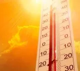 Rajasthan govt cancels leave of all medical personnel as heat stroke cases rise