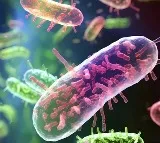 5 year old girl in Kerala dies of infection caused by brain eating amoeba after dip in a pond