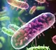 5 year old girl in Kerala dies of infection caused by brain eating amoeba after dip in a pond