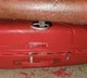 Rats Damage Suitcases on Jnaneswari Express Netizens Demand Compensation