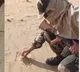 bsf jawan roasts papad in sand in rajasthan