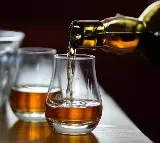 Kerala Assembly committee gives nod to pubs at IT parks